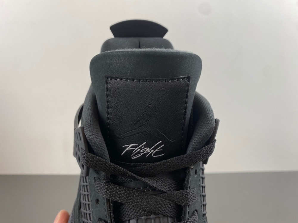 Nigel Sylvester x Air Jordan 4 HF4340-001